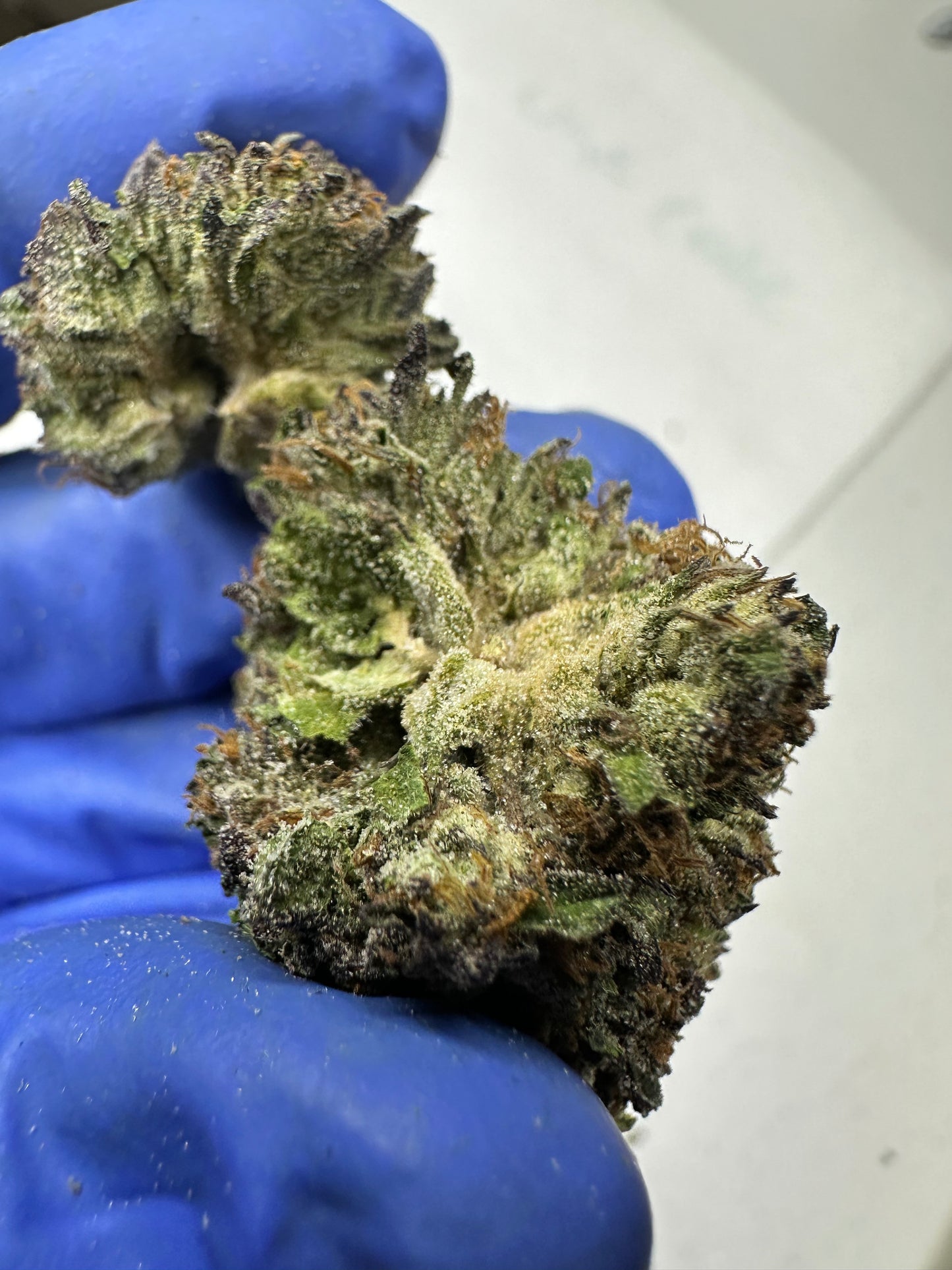 Ice Cream Paint Job Indoor light Assist