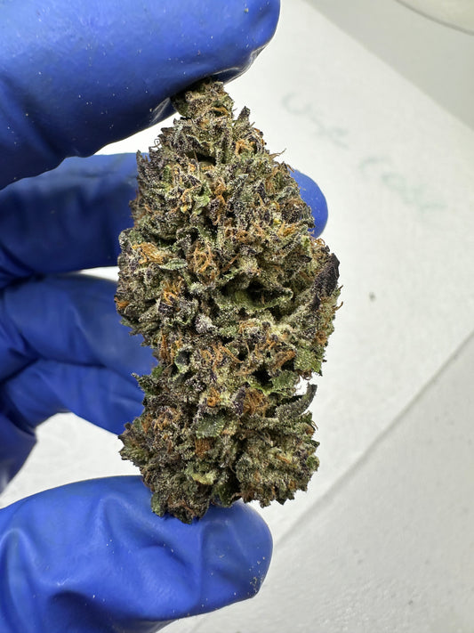 Ice Cream Paint Job Indoor light Assist