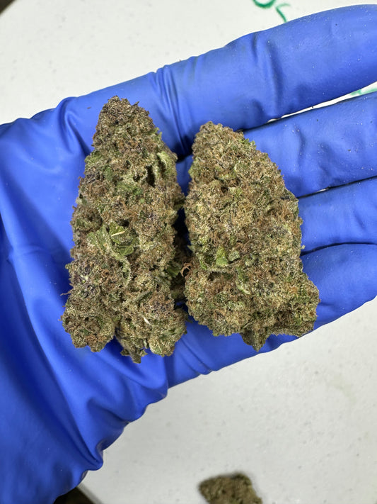 Air Headz Light Assit