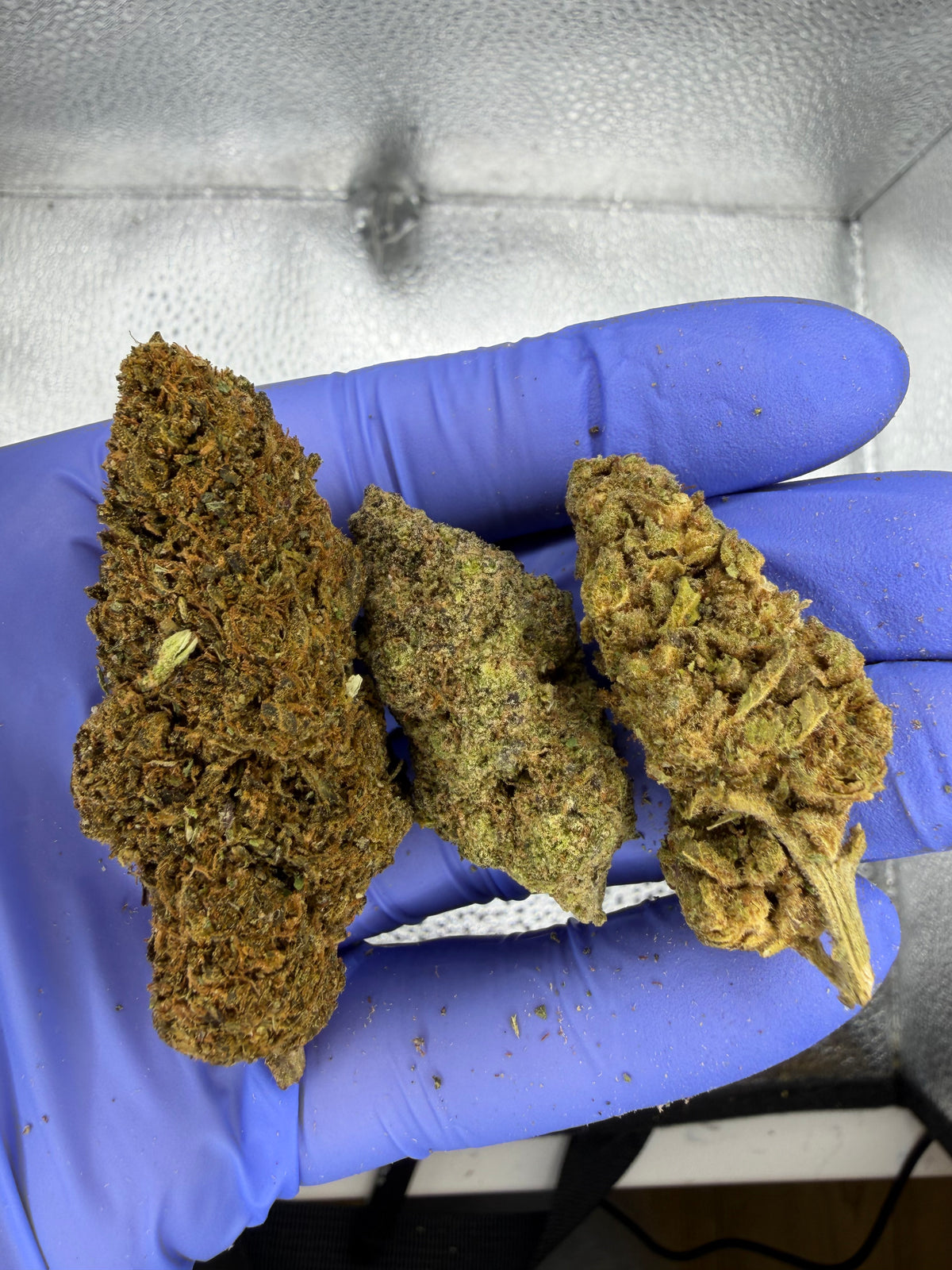 OLD Mixed Nugs