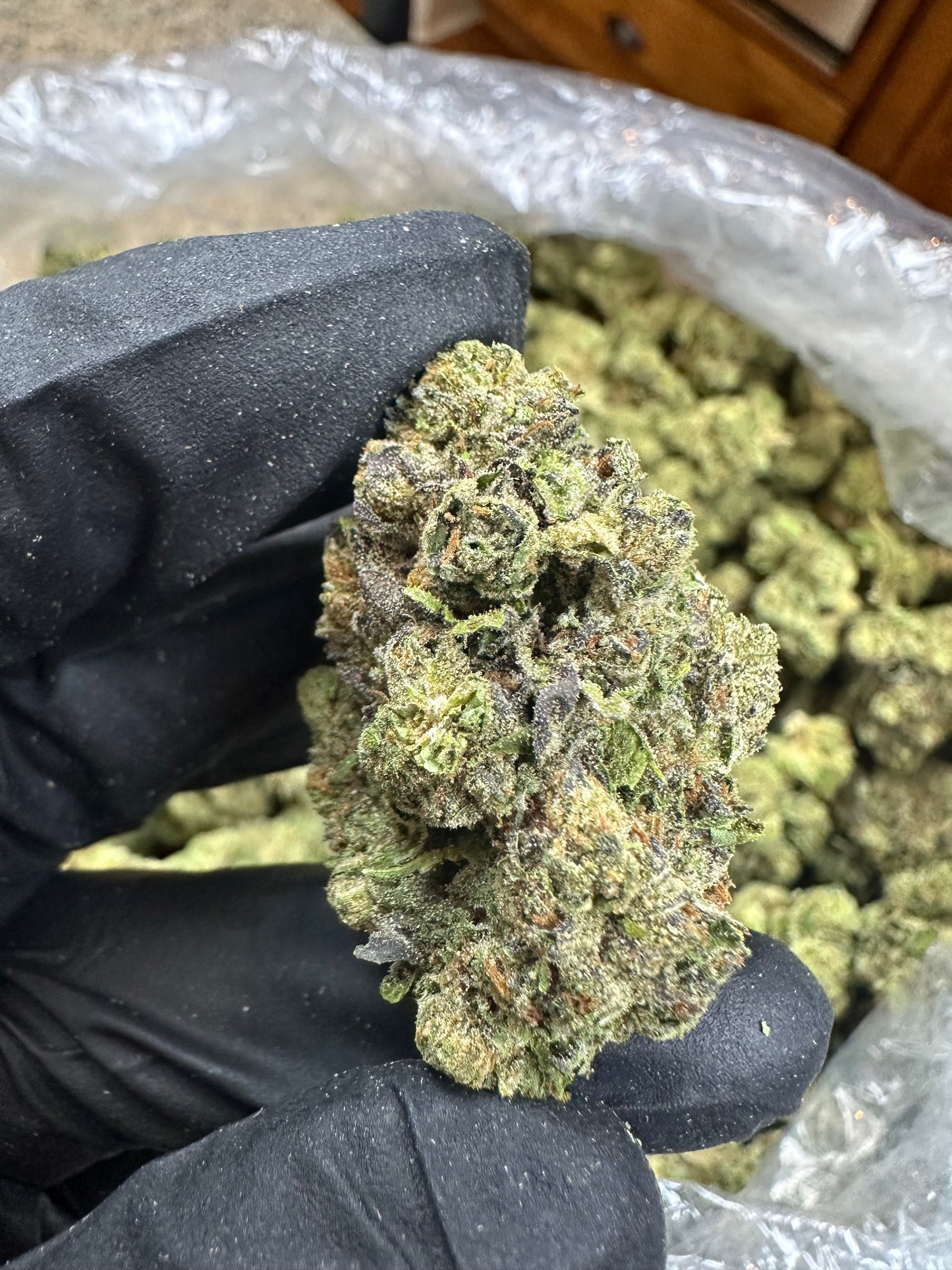 Intense Potent Cannabis (IPC) Indoor Light Assist won’t be shipped until june 3rd