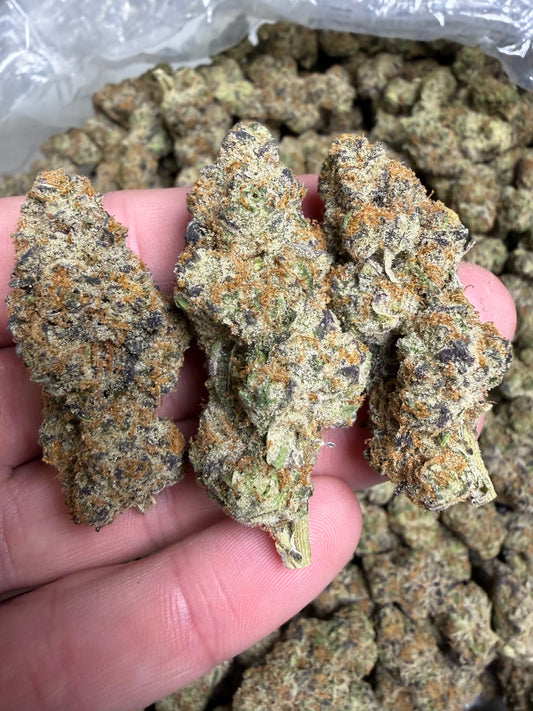 Funk In The Trunk Cannaisseur Exotics ships Monday