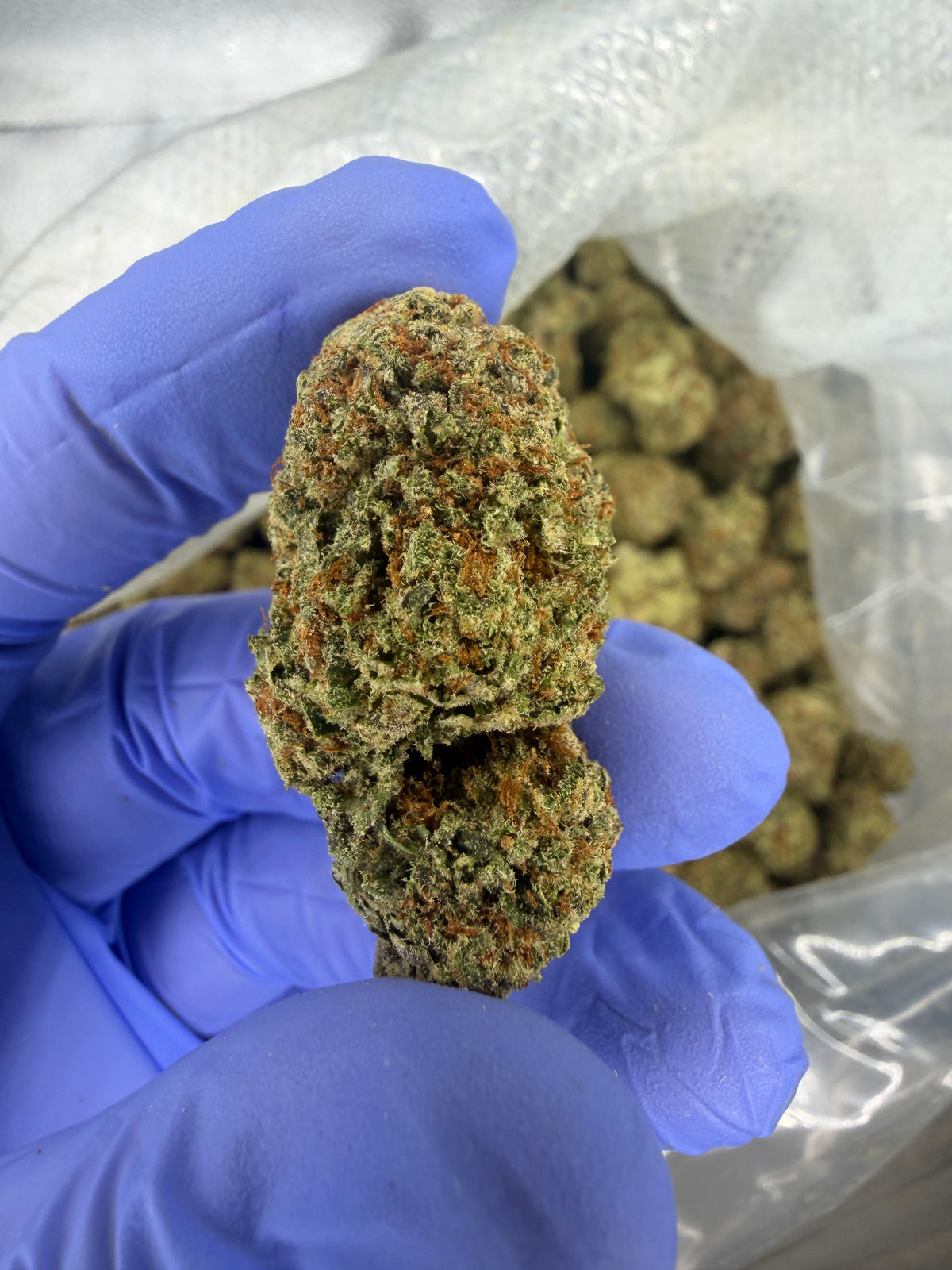 Zkittle Pop Exotics