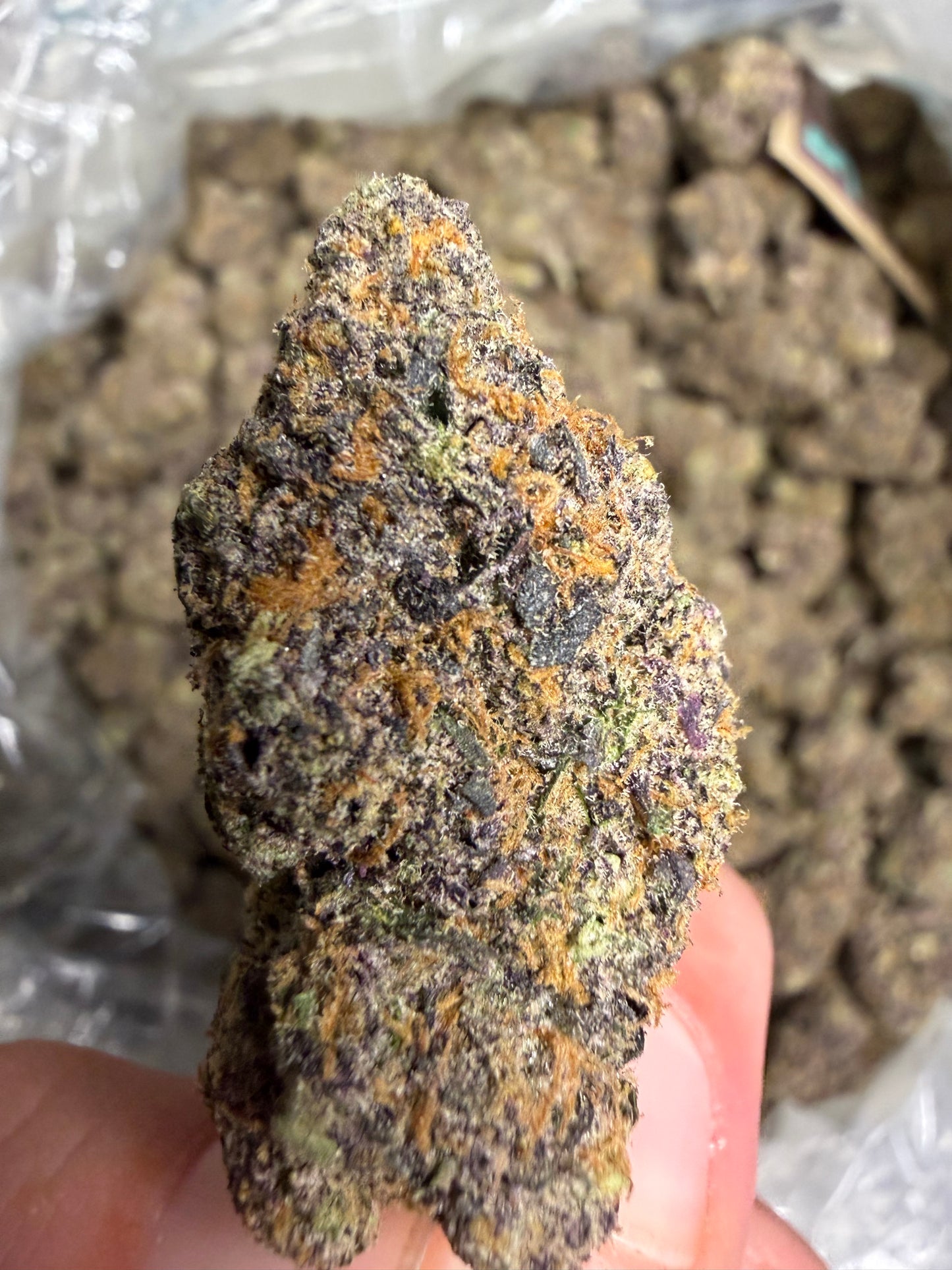 Zoap Cannaisseur Exotics ships Monday
