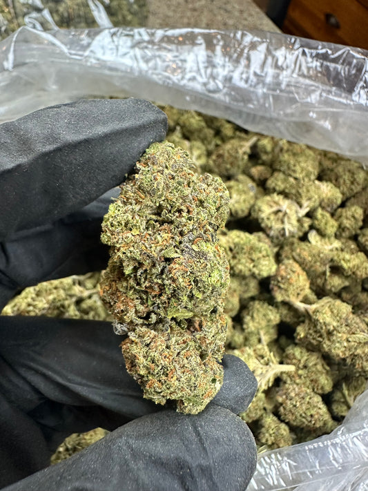 Critical Purple Kush (older harvest)