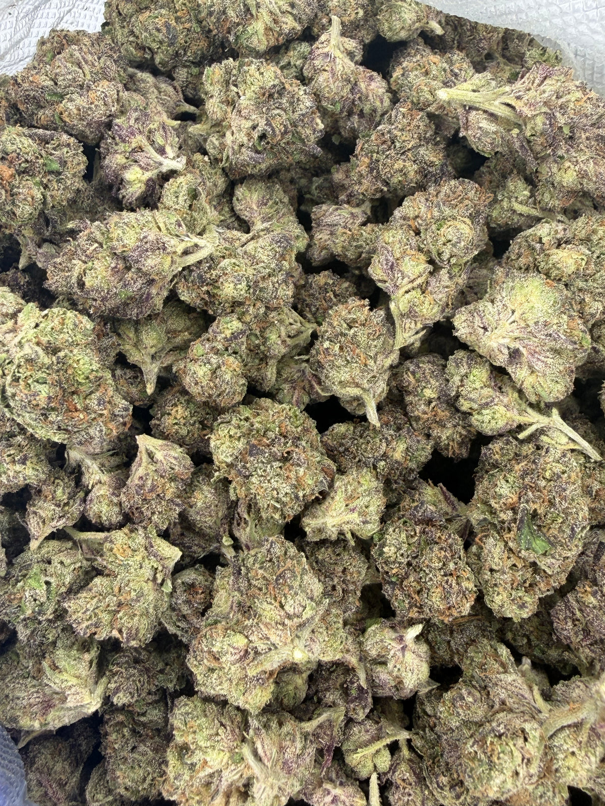Galactic Runtz Indoor Light Assist