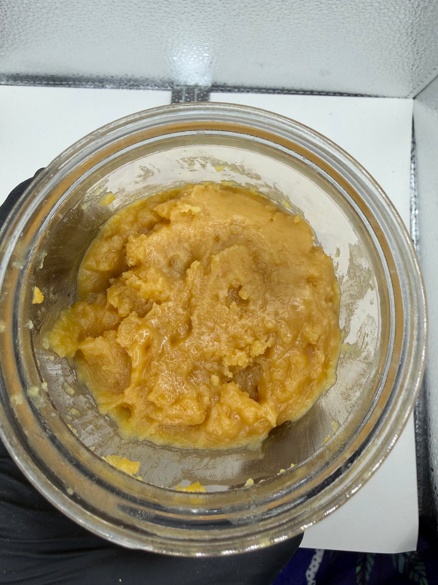 Indoor Nug Run BHO Too Shelf