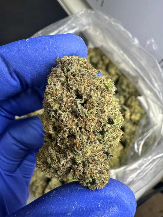 Key Lime Pie Green House