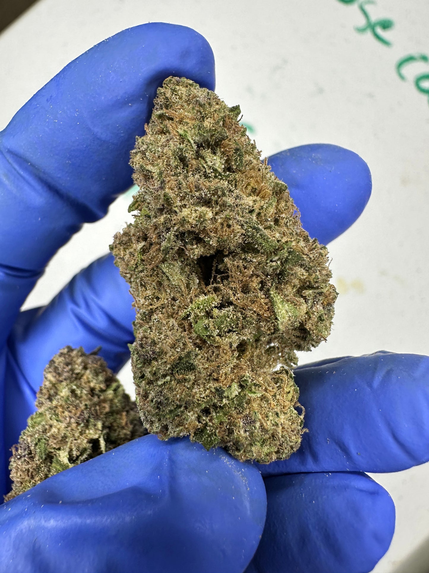 Air Headz Light Assit