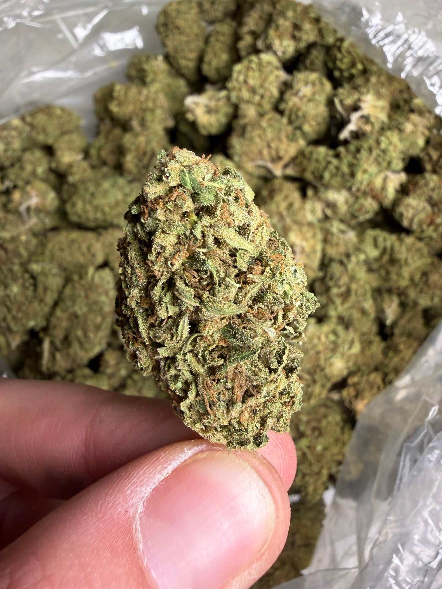 Green Applez ships June 3rd