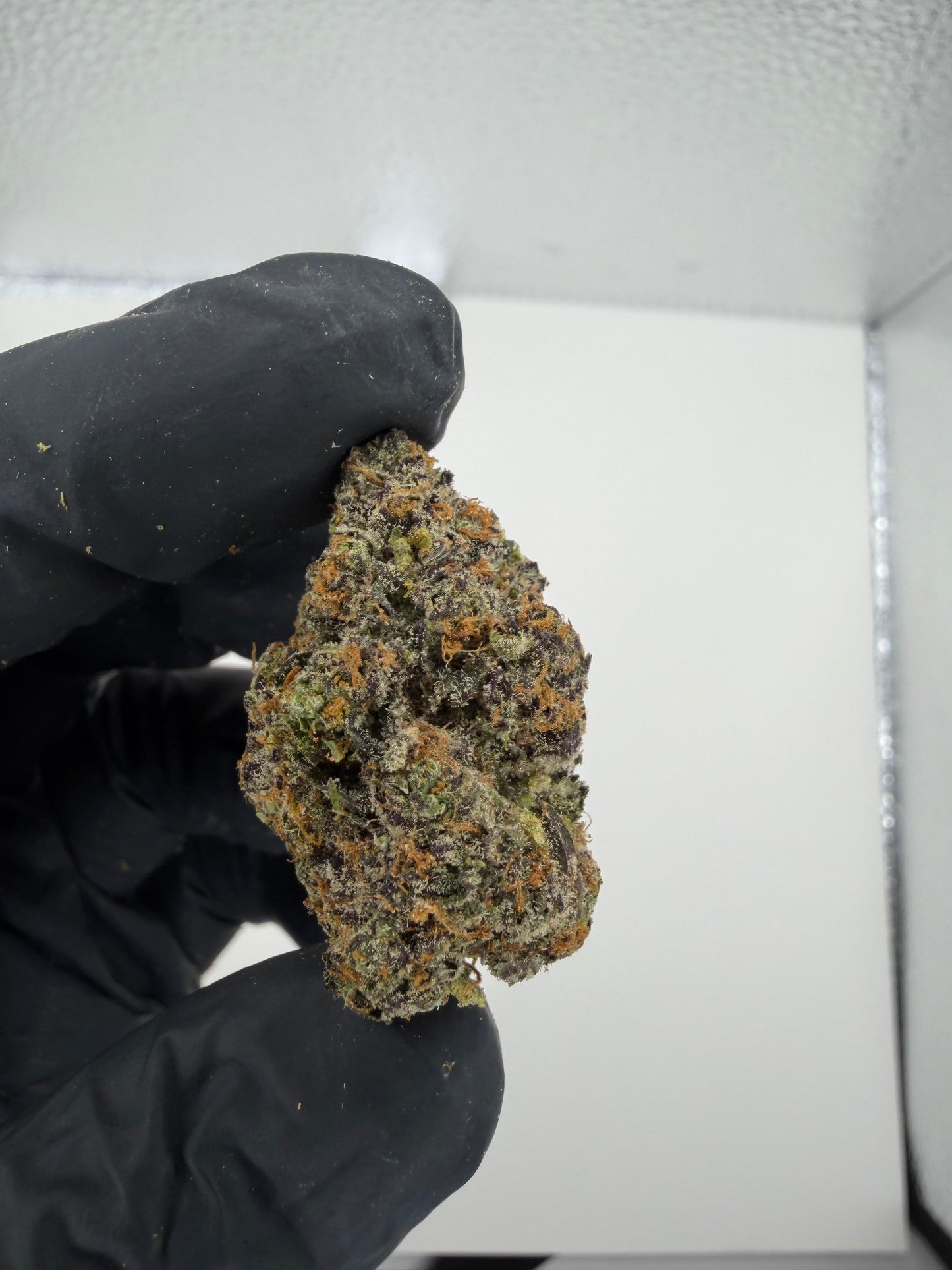 Mix Nug Batch