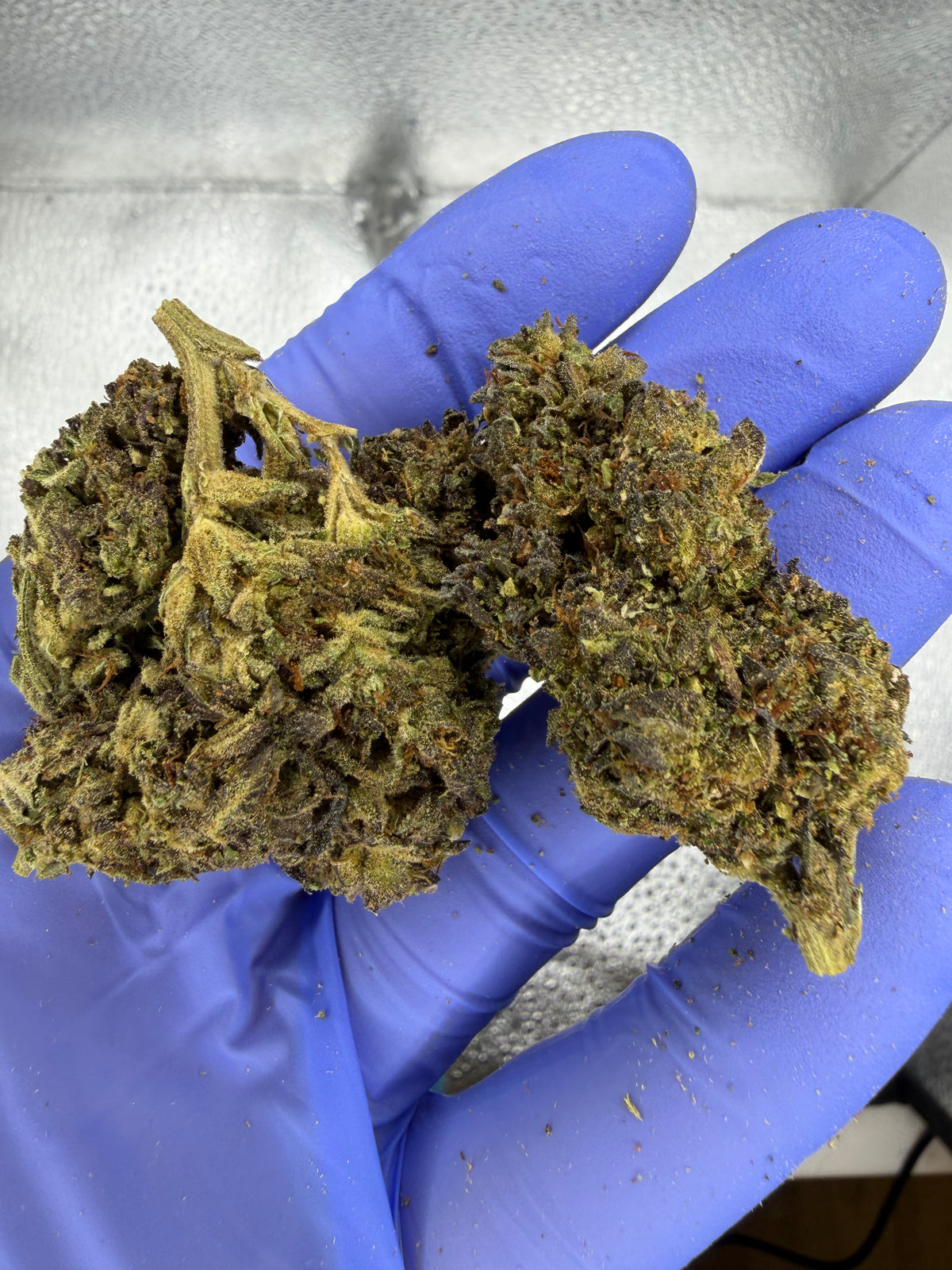 OLD Mixed Nugs