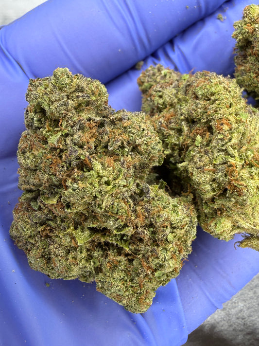 Strawberry Lemonade Indoor Light Assist