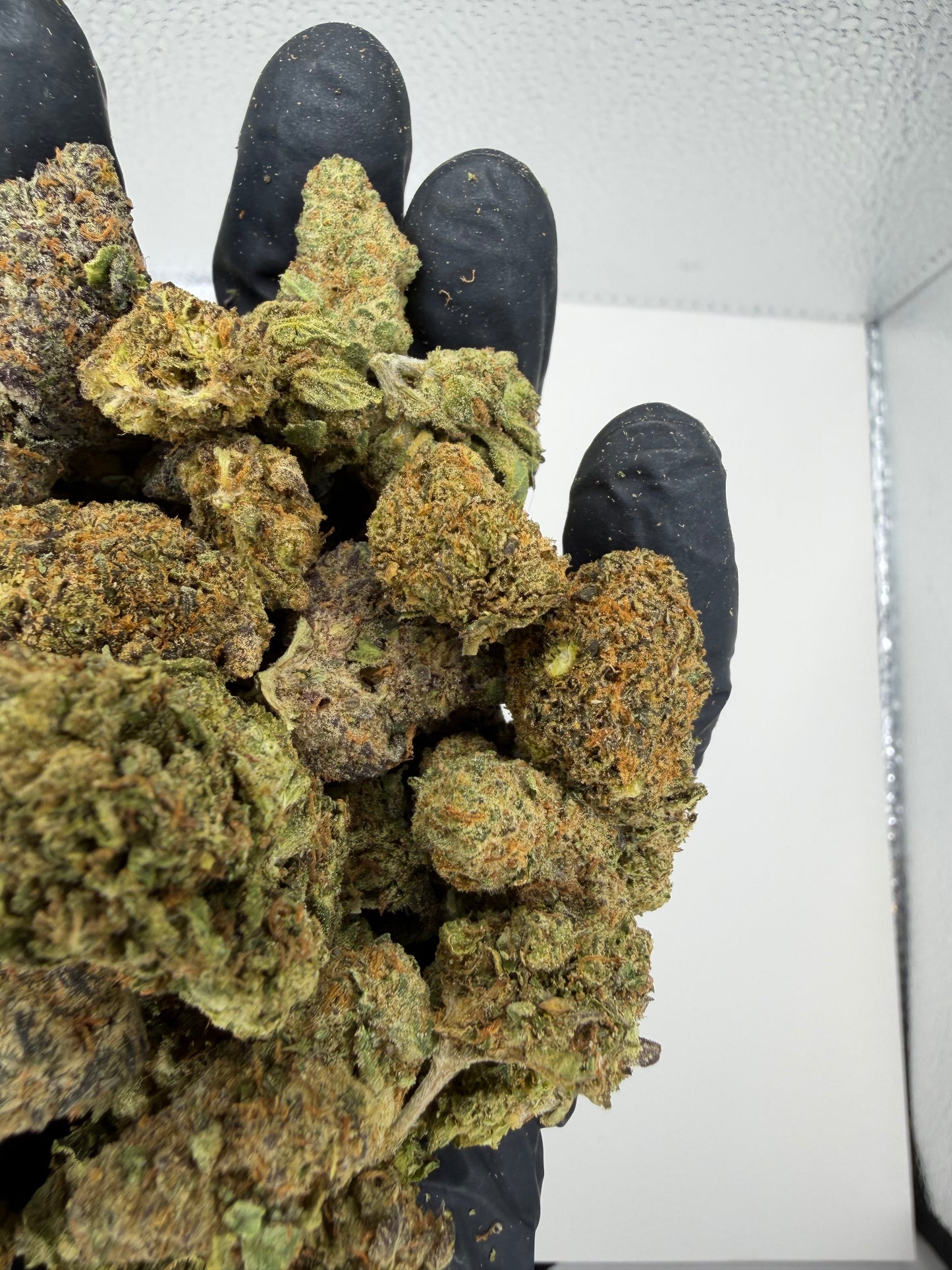 Mix Nug Batch