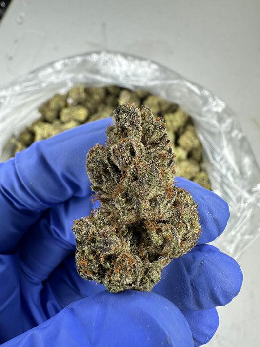Lemon Drop Top indoor mediums