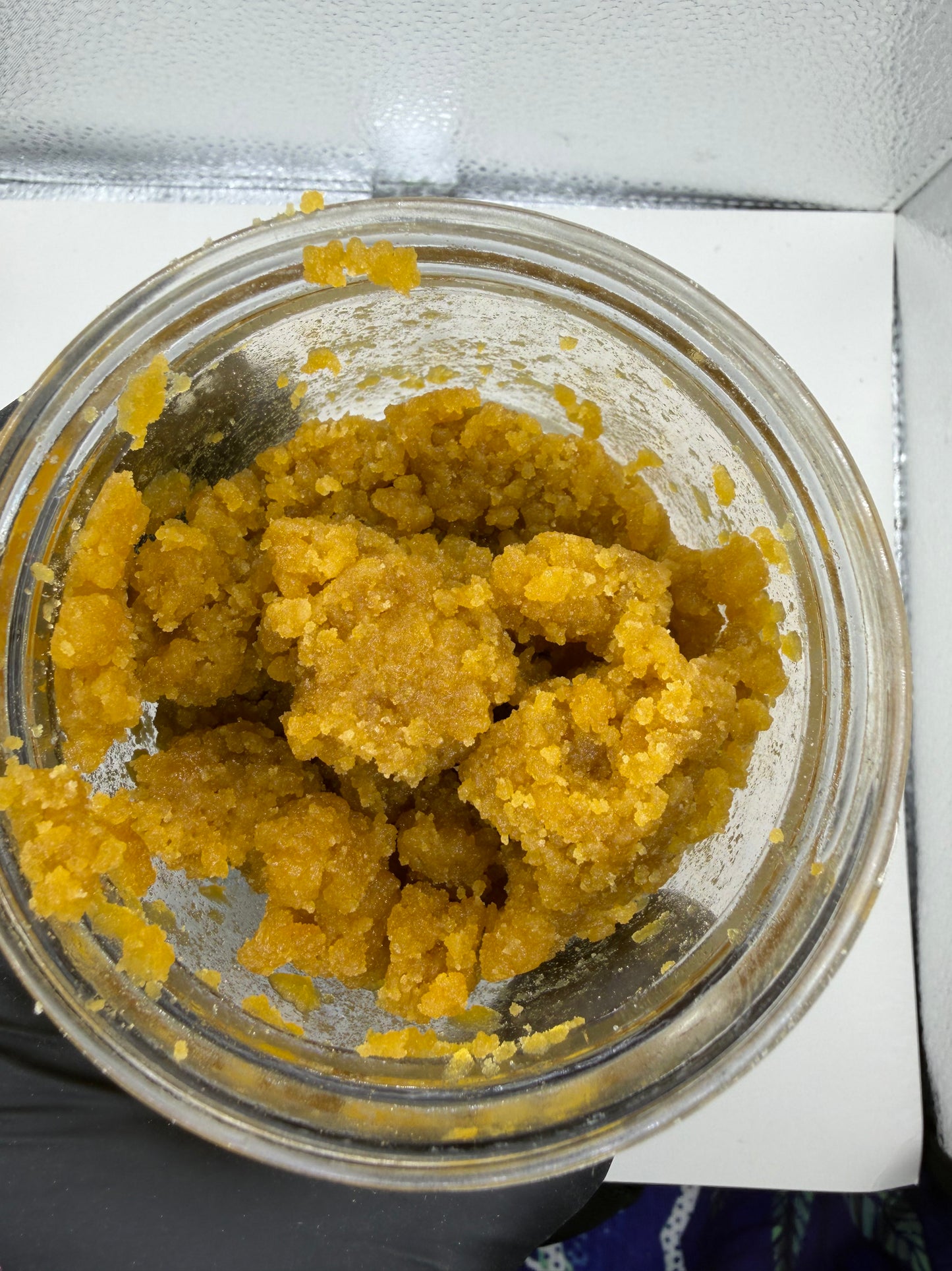 Indoor Nug Run BHO Too Shelf