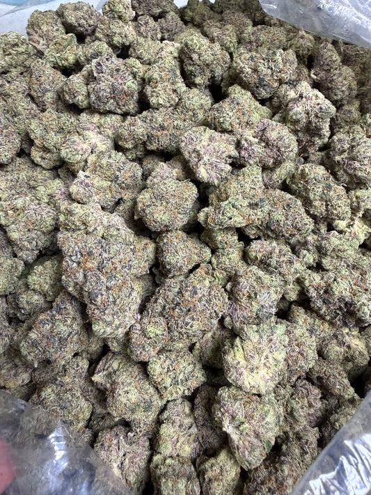 Candied Sherb Cannaisseur Exotics ships Monday
