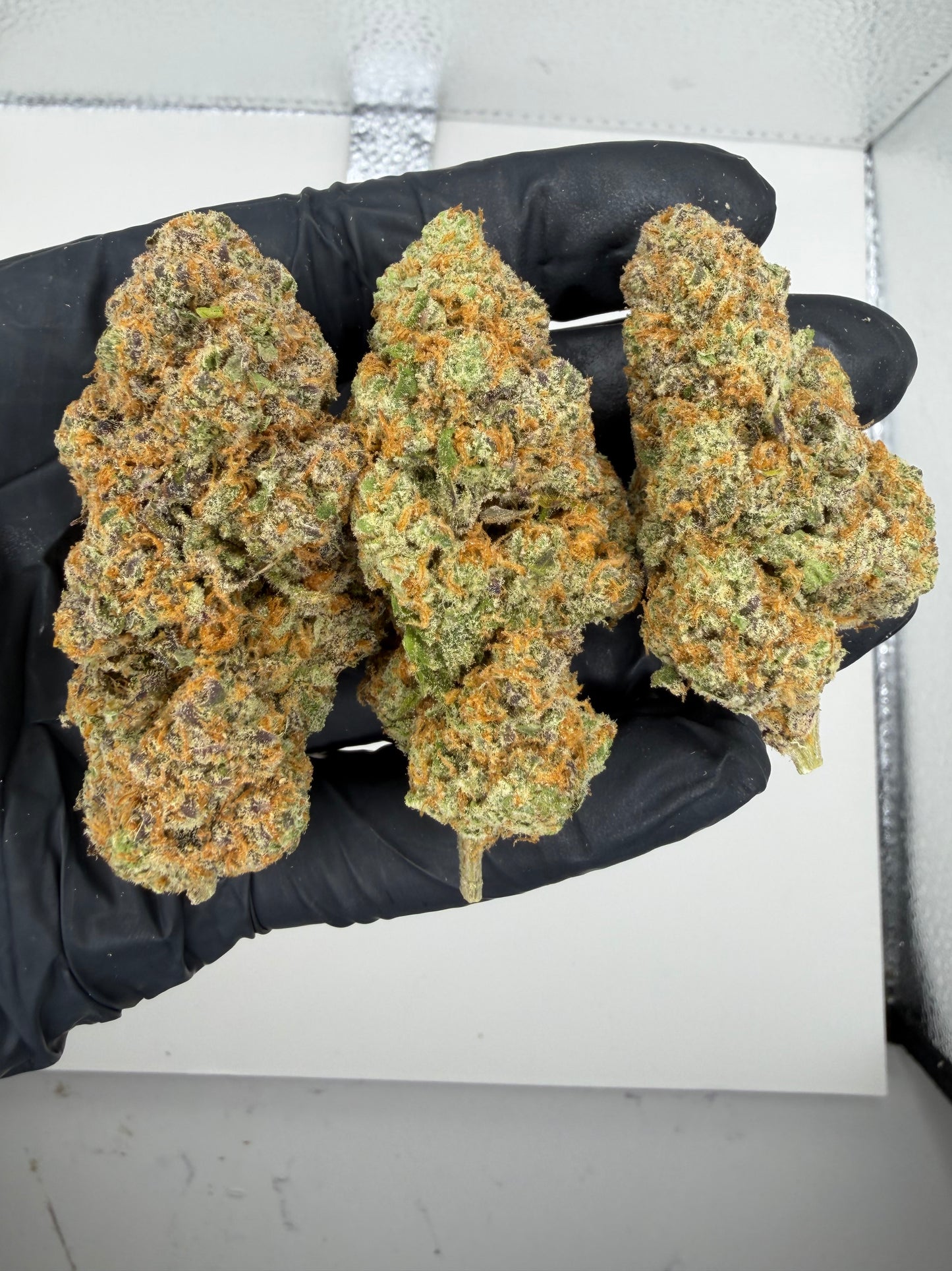 Hawaiian Get Away Cannaisseur Exotics