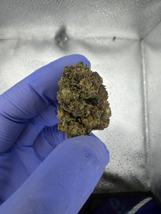Frosted Frosty Flakes Indoor Light Assist