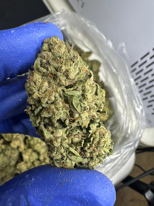 Key Lime Pie Green House