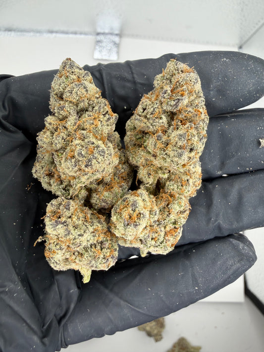Strawberry Cough (hard to find rare) Cannaisseur Exotics