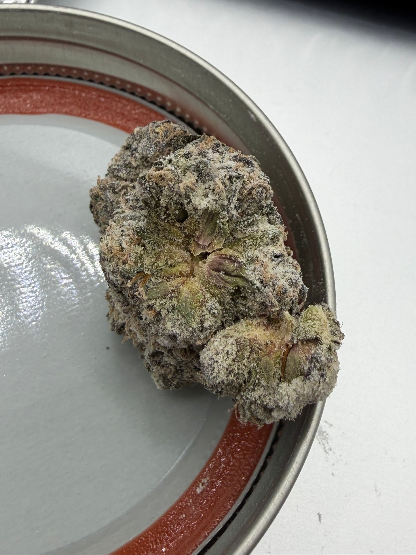 White Runts Exotic with THCA iso Powder