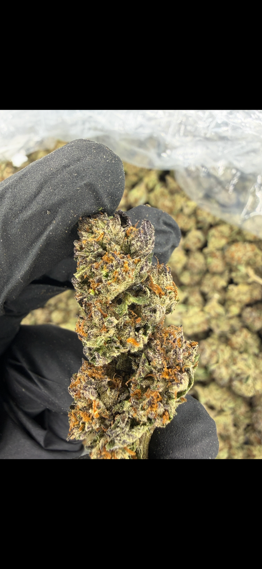 Illuminati Indoor Light Assist