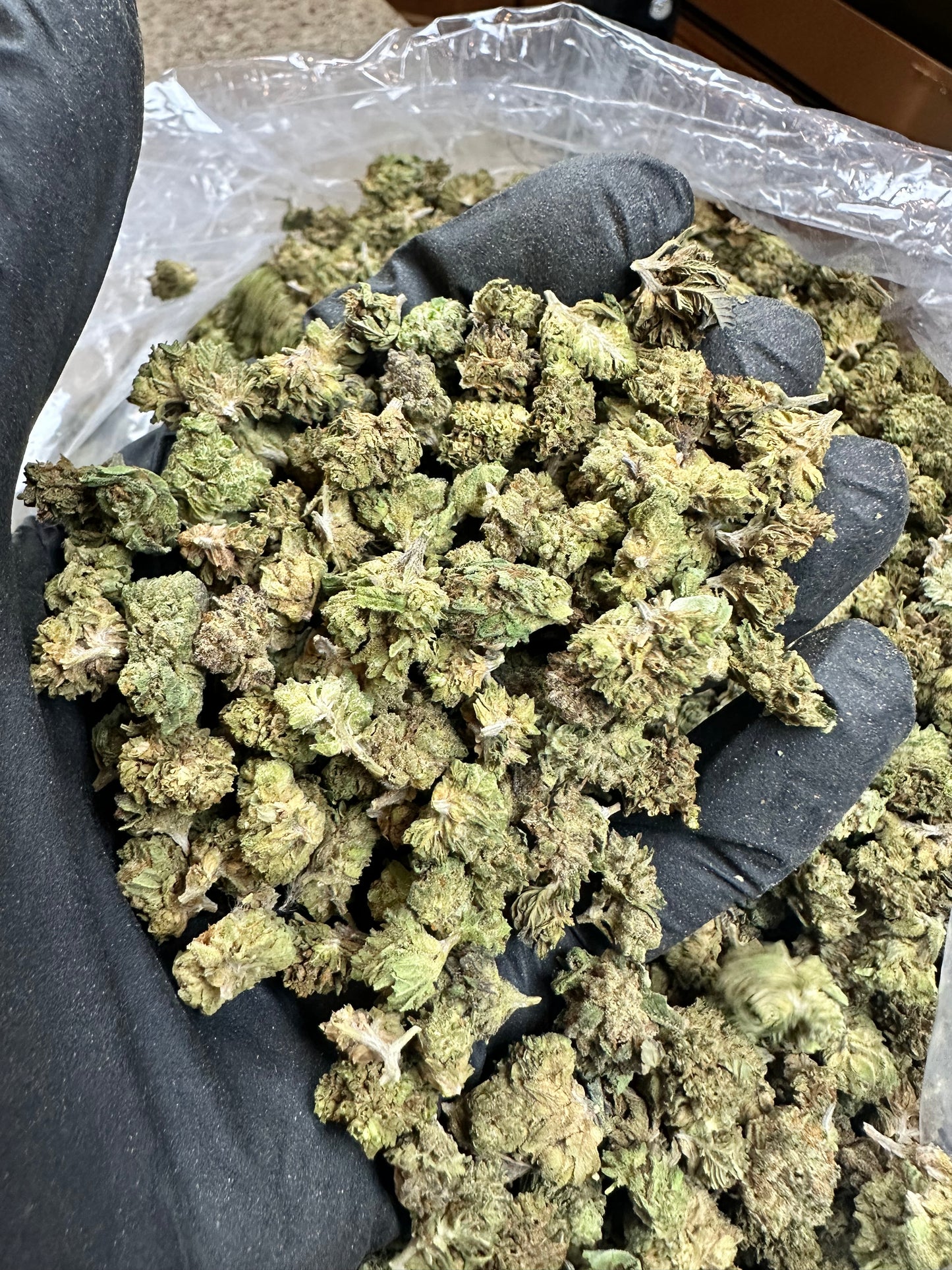 Cosmic Rocks Green House Smalls