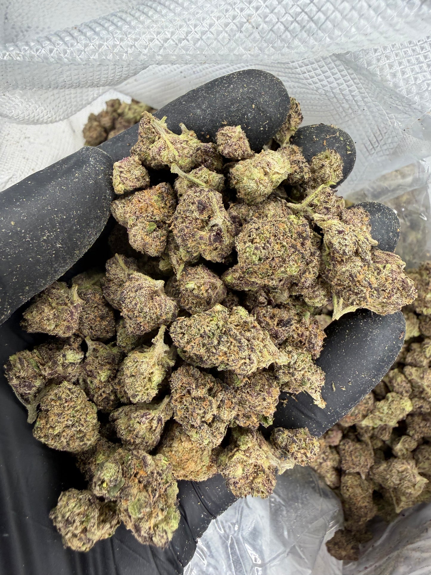 Candy Grape Gas Exotic Smalls