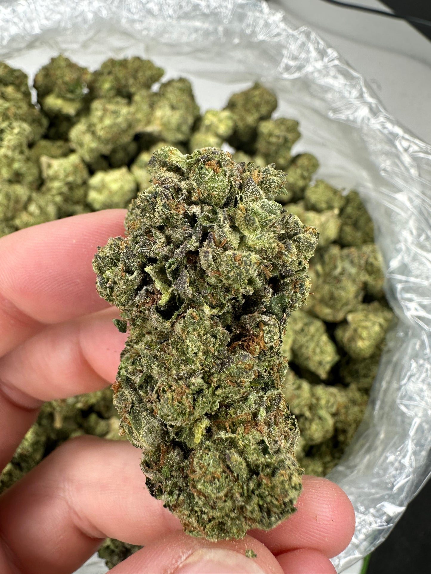 Pink Acai