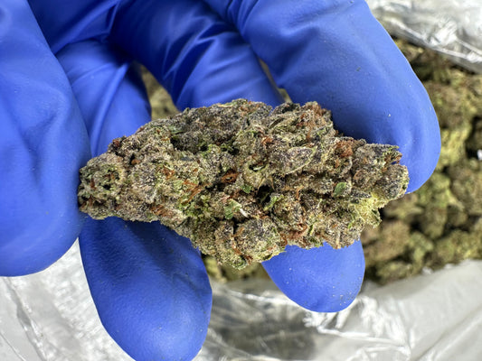 Cherry Hindu Kush