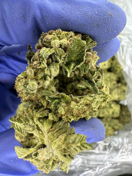 1st Class Funk Green House