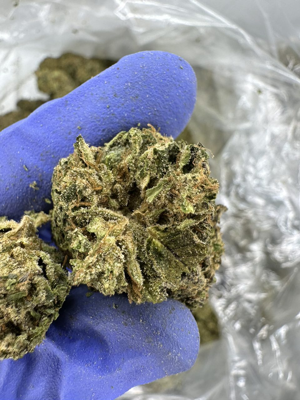 Real Sour Diesel