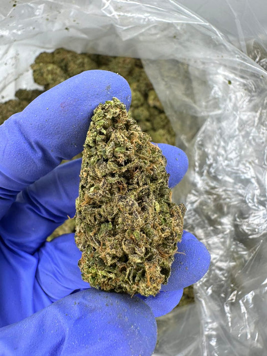 Real Sour Diesel
