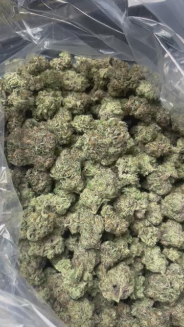 Purple Creamsicle (Indoor Light Assist) First harvest of the summer