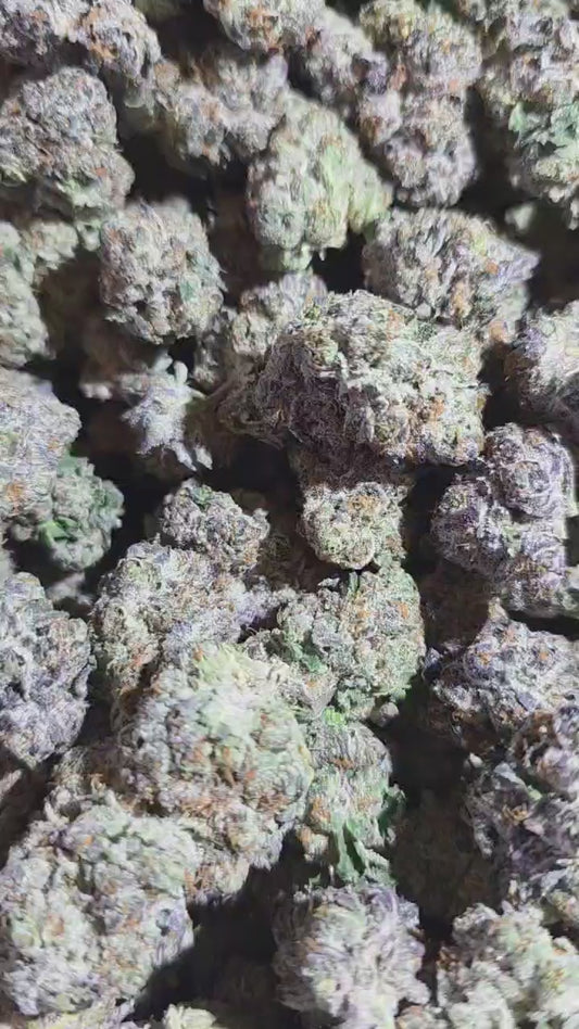 White Runtz Exotic Indoor