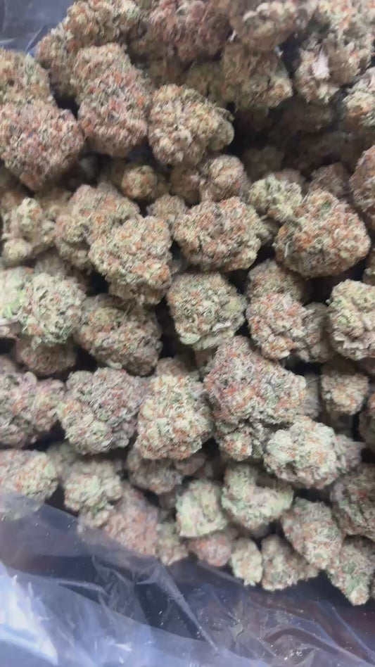 Alien Mac Indoor Light Assist (ships June 15th)